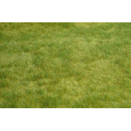 Spring green carpet 45 x 17 cm 