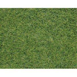 6mm Prairie Green carpet 16x10 