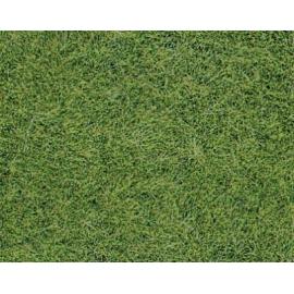 6mm Prairie Green carpet 16x10