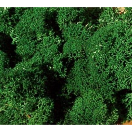 30g dark green moss 