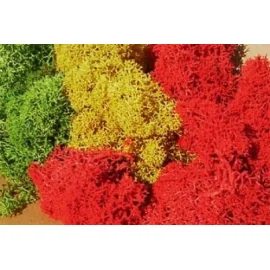 Assorted Color Foam 1oz