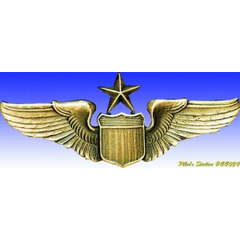 USAF Senior Pilot Wings 