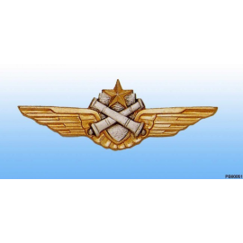 French Army Air pilot Wings 