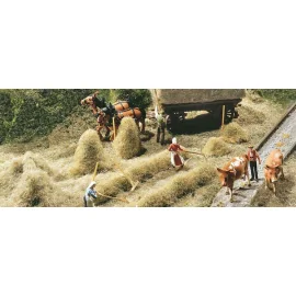 Hay-harvest