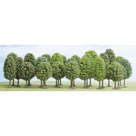 Assortment of 25 deciduous trees