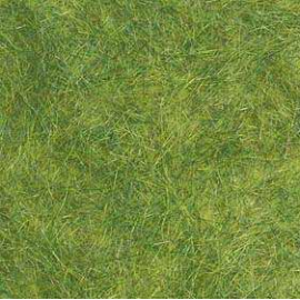 Spring green grass - uv x 5 