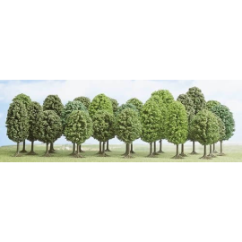 25 assorted hardwood trees 