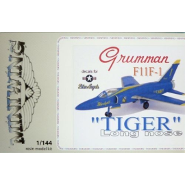 Grumman F-11F-1 Tiger long nose / Blue Angels Model kit