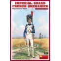 Imperial Guard Dutch Grenadier Napoleonic Wars