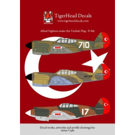 Decals Allied Fighters under the Turkish Flag - Curtiss P-40. This decal set corresponds to the markings on the P-40B and P-40E 