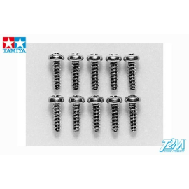 3x10mm screws