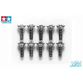 Countersunk head screws 3x10mm