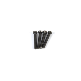 3x20mm round head screws