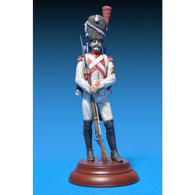 Imperial Guard Dutch Grenadier Napoleonic Wars