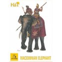 Macedonian Elephant x 3 elephants per box