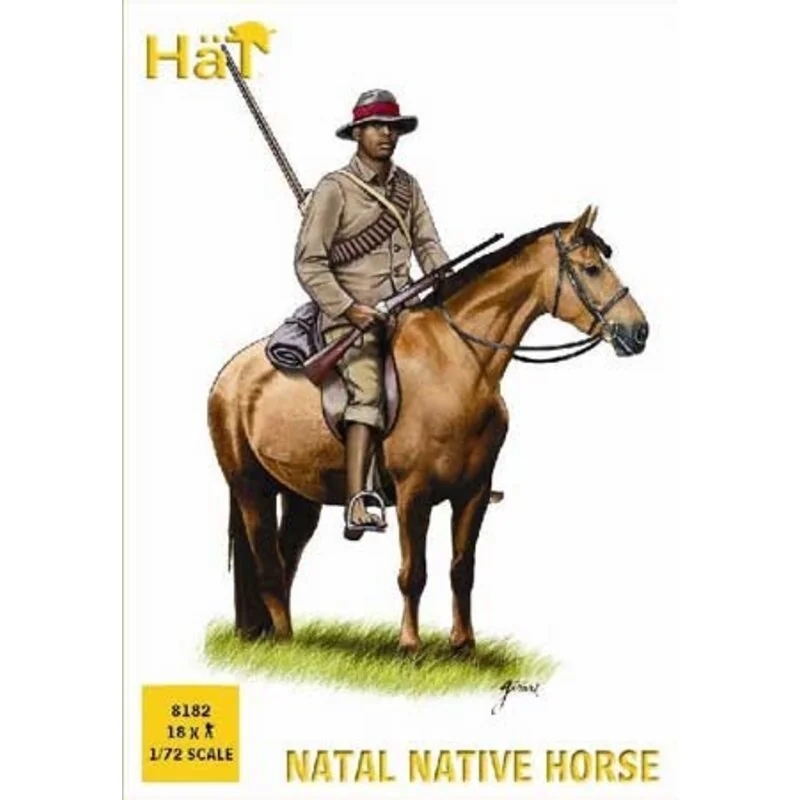 Zulu Wars. Natal Native Horse