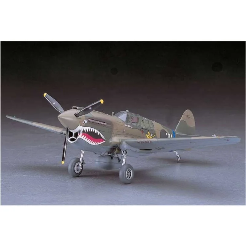 P40 E WARHAWK ( JT86 )