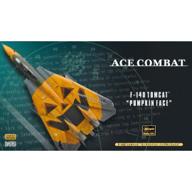 F-14D Tomcat ACE Model kit