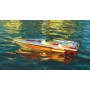 SCARAB 60 electric-rc boat