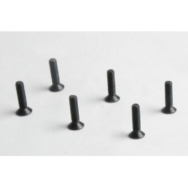 Flat screw M3 * 12 6 pcs