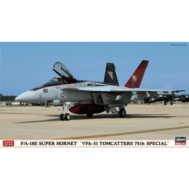   F/A-18E VFA -31 Tomcatter