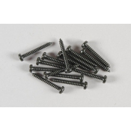 Torx screws 2,9 x22 ( 15p ) 