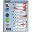 Air Wing All Stars Cougar Trainer CAG features markings for nine Grumman F9F-8T/TF-9J Cougar aircraft all in 1/48 scale. Enough 