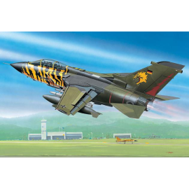 Panavia Tornado ECR