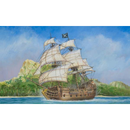 Pirate Ship Black Swan Model kit