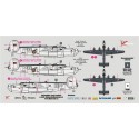Decals Consolidated Liberator GR.VI of No.311 (Czechoslovak) Sq. RAF (3 camo schemes) Decals for military aircraft