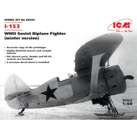 Polikarpov I-153 WWII Soviet Biplane Fighter (winter version)