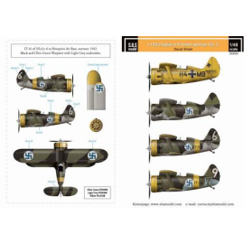 Polikarpov I-153 Finnish Air Force WW II VOL.II. for ICM kit