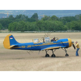 Yakovlev Yak-52 Hungarian