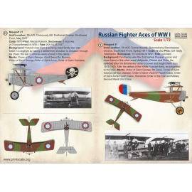 Russian Fighter Aces of WWl