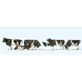 Set of 6 cows