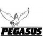 Pegasus